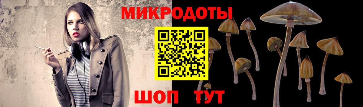 Корсаков  Галлюциногенные грибы Psilocybe  Псилоцибиновые грибы MAGIC MUSHROOMS  Вход с VPN 